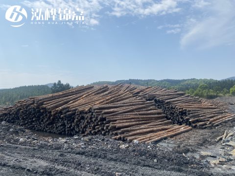 河道打樁為什么選擇松木樁來(lái)處理軟地基？-松木樁施工使用范圍