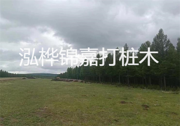 軟土地基加固措施，保障建筑穩(wěn)固